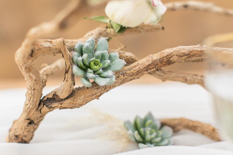 Desert beauty, una decoración de boda en el desierto en All Lovely Party