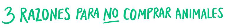 3 razones para NO comprar animales