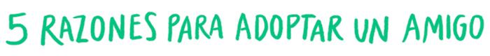 5 razones para adoptar un amigo