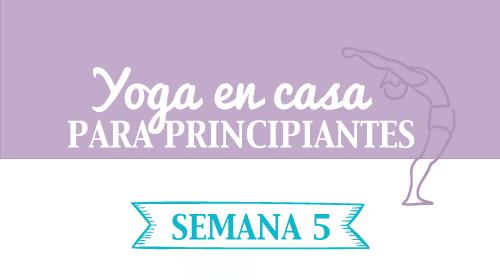 yoga en casa en pdf