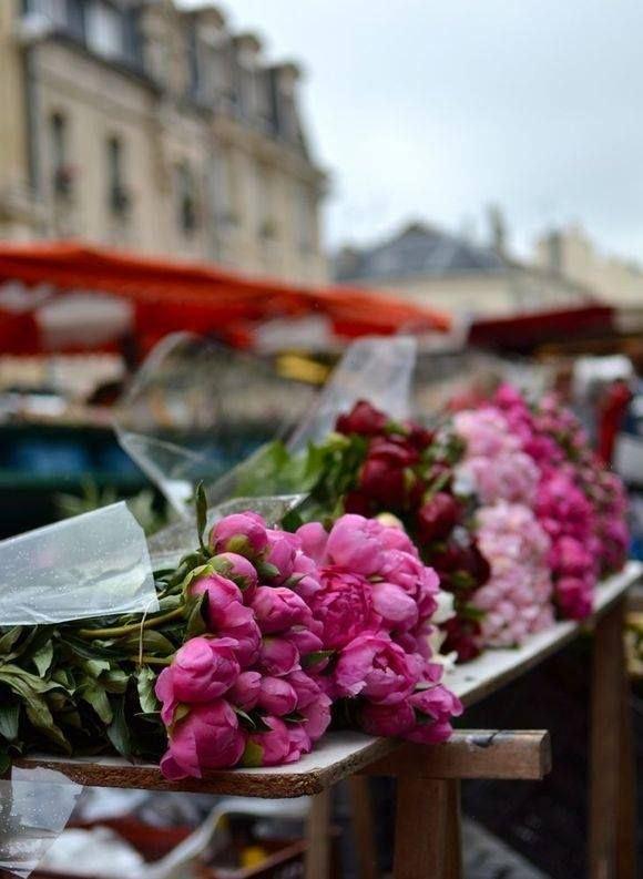 7c66999c7c0538874b9b8d6b57015fb5