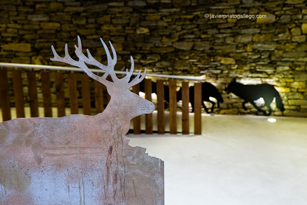 Centro del Lobo. Robledo. Comarca de Sanabria. Zamora. Castilla y León. España © Javier Prieto Gallego;