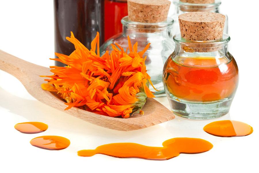 Preparación de ACeite de Caléndula