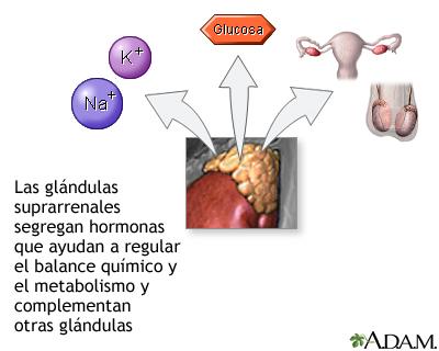 Insuficiencia suprarrenal 2