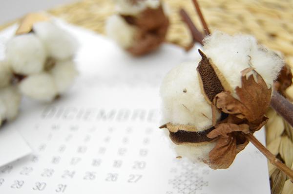 AYS-DESCARGABLE-DIC-5