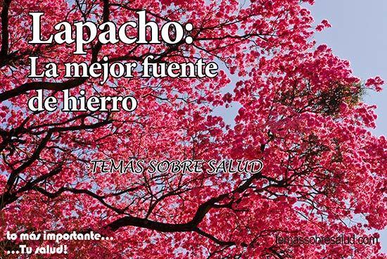 lapacho