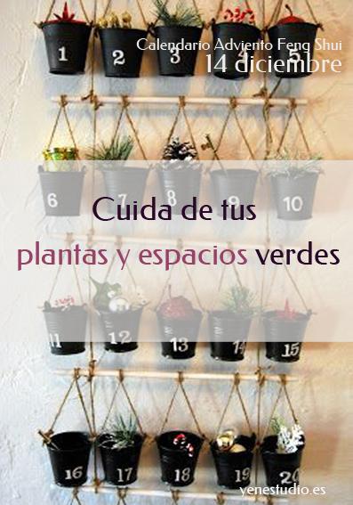 Feng Shui cuida de tus plantas y espacios verdes 14 diciembre