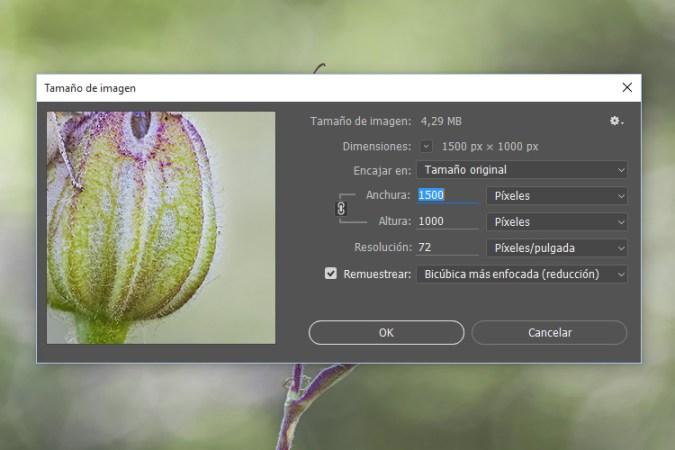 Adobe Photoshop 2015.1-nuevo diseño