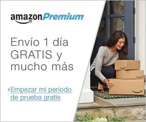 VXD-257-House-300x250-ES