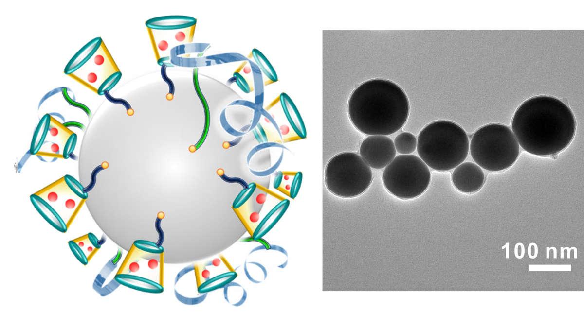 Izquierda, ilustración de los nanorrobots. Las esferas rojas es la droga Dox anti-cancer. Derecha, fotografía de los nanorrobots tomada por un microscopio de electrones.