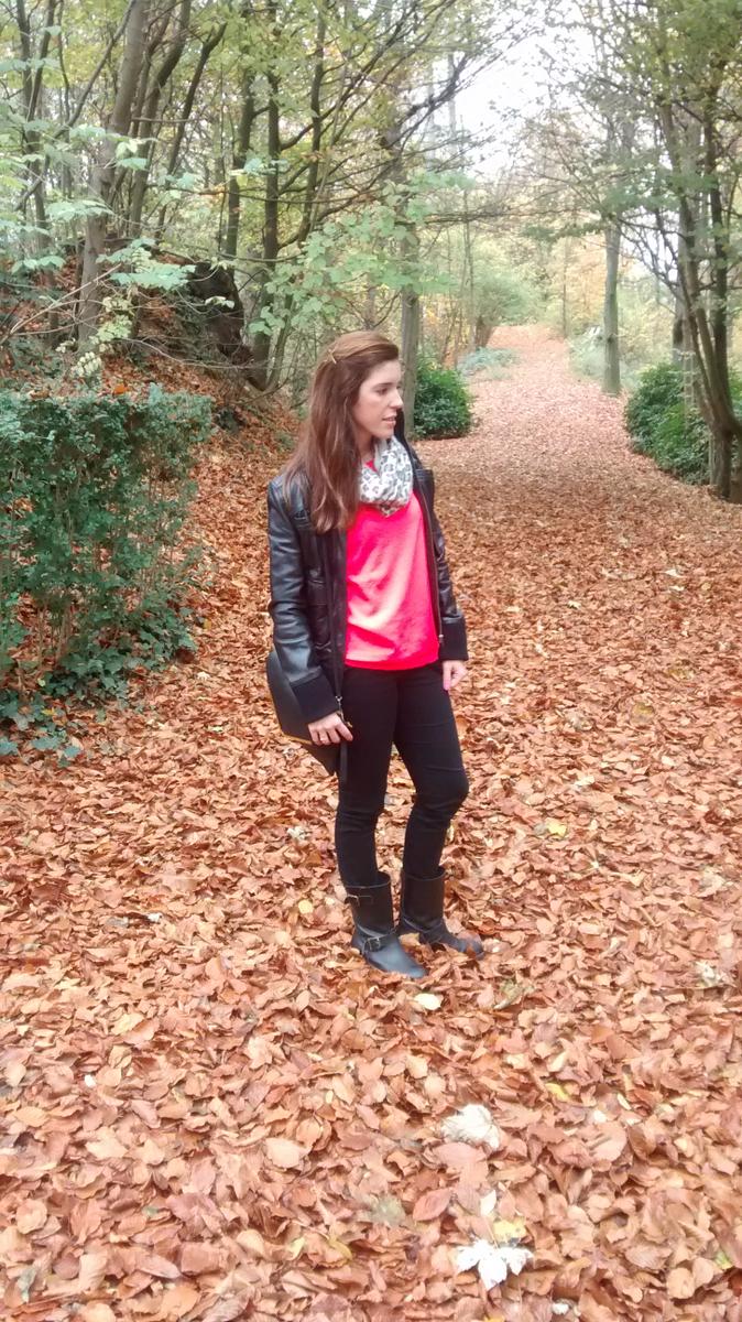 IMG_20151108_131306977