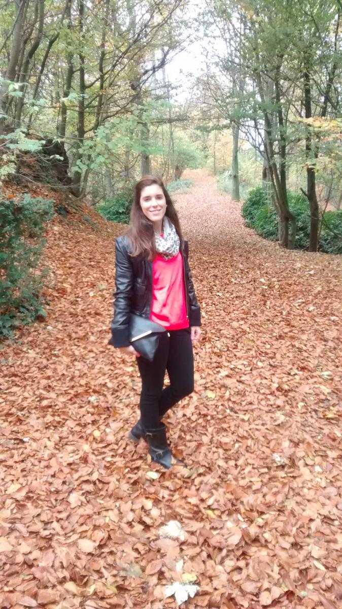 IMG_20151108_131327183