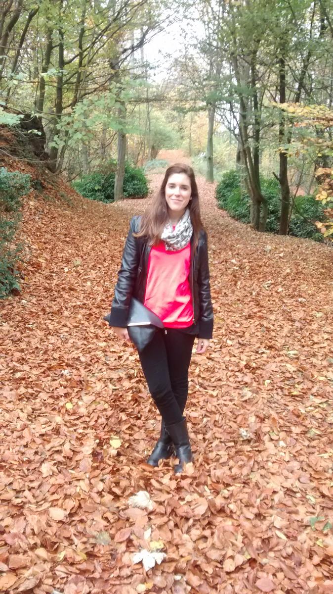 IMG_20151108_131332628