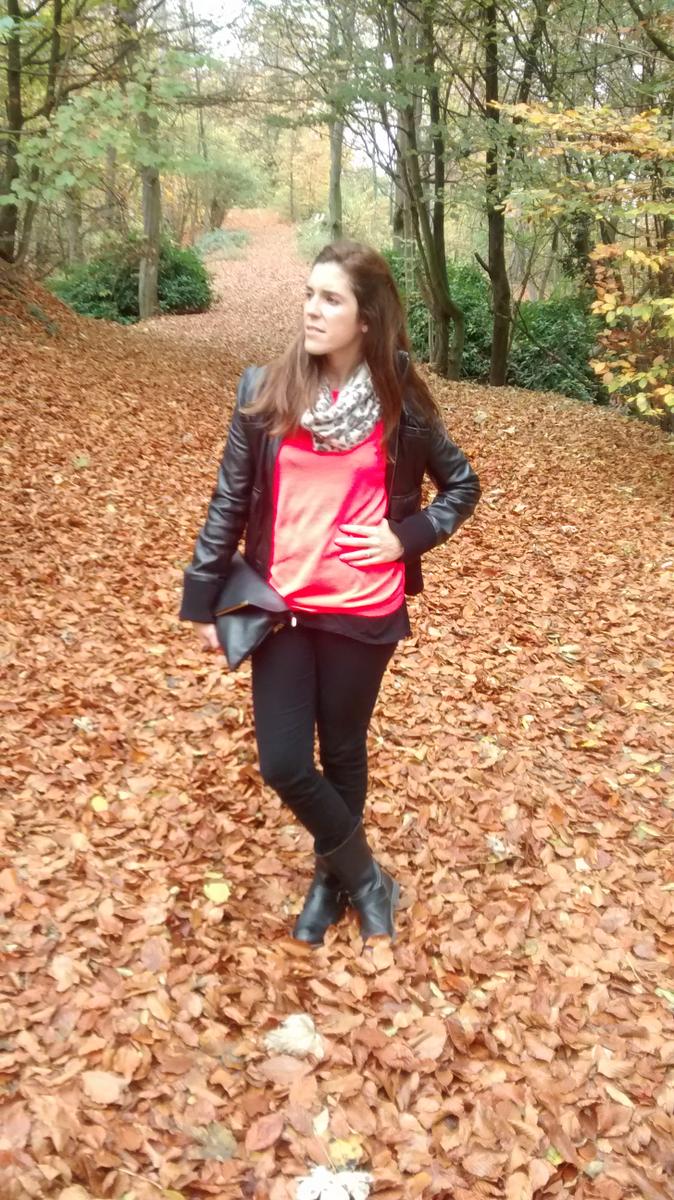 IMG_20151108_131343856