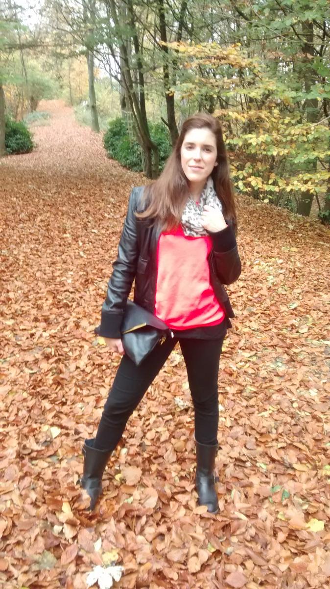 IMG_20151108_131353537