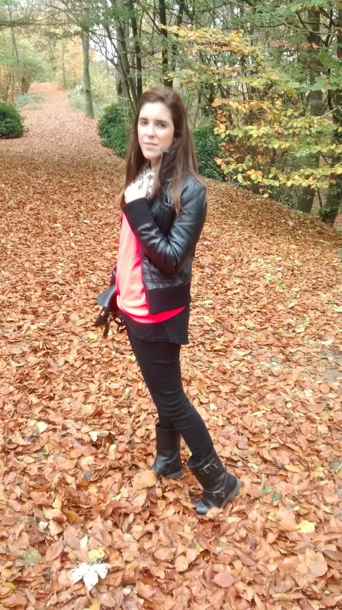 IMG_20151108_131358116