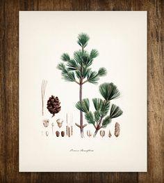 scoutmob.com Similares en venta en Etsy.com