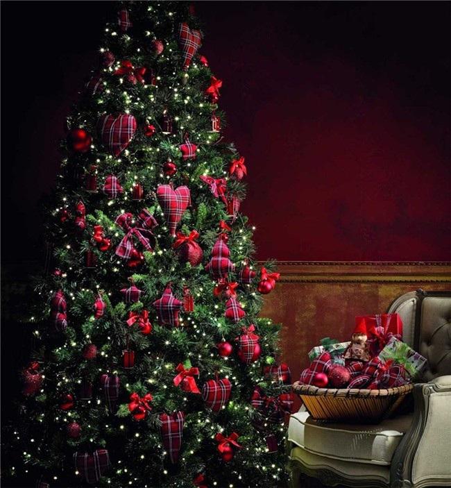 ae8468b4fe241afffbfeaaf988d25dc1