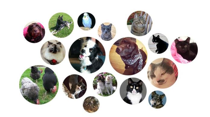 foto 3 : amigos de SureFlap