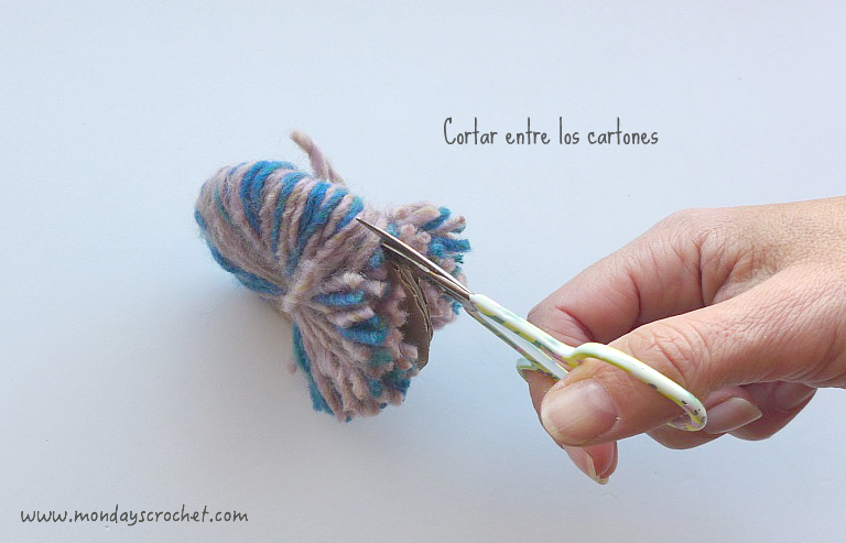 Foto pompón 2.png-2