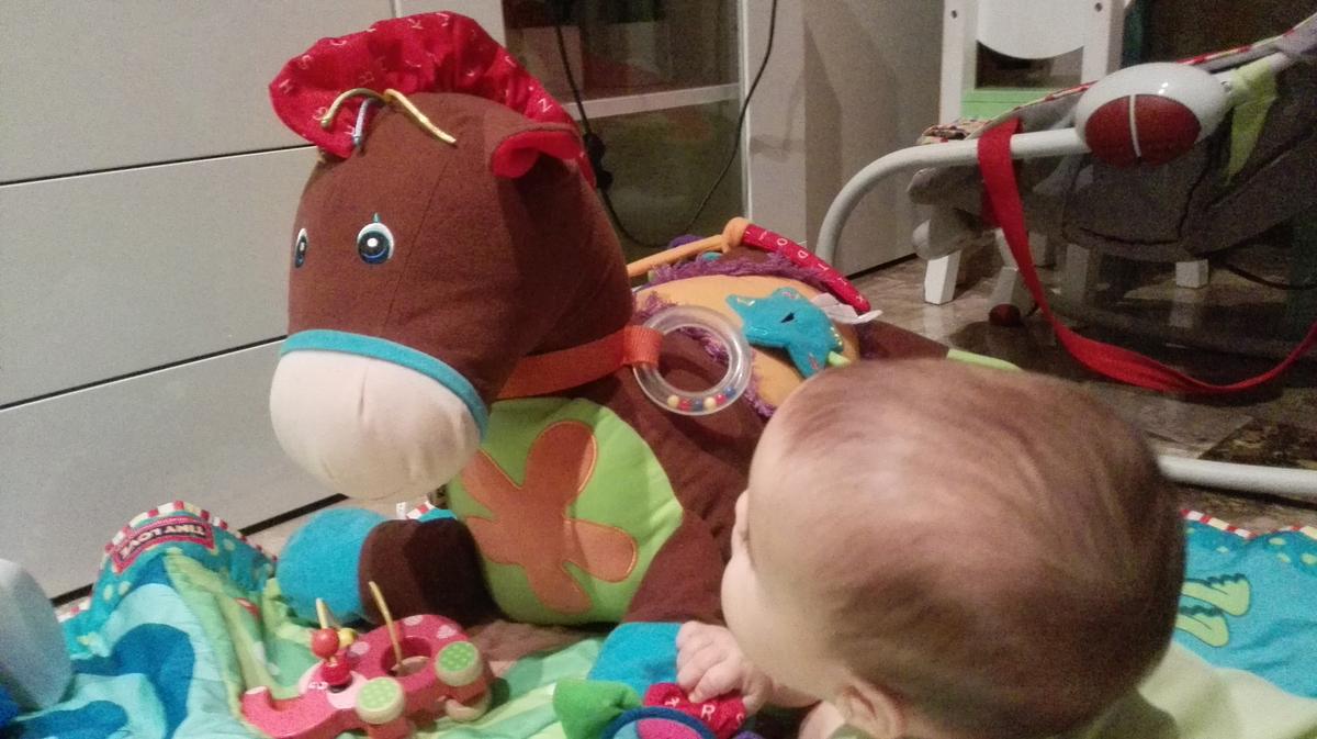 JUGUETES BLANDITOS. Tony el pony y Croco bloco