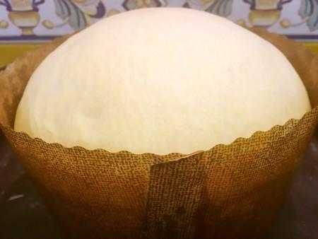 12322438_179748769040851_1494674411200383678_o