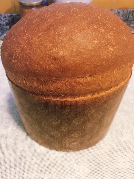 12339157_179748815707513_3383273011256379360_o