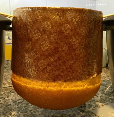 12309688_179751442373917_8065009795650766910_o