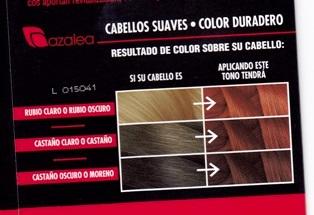8.6 Color Total rojo intenso tinte Azalea