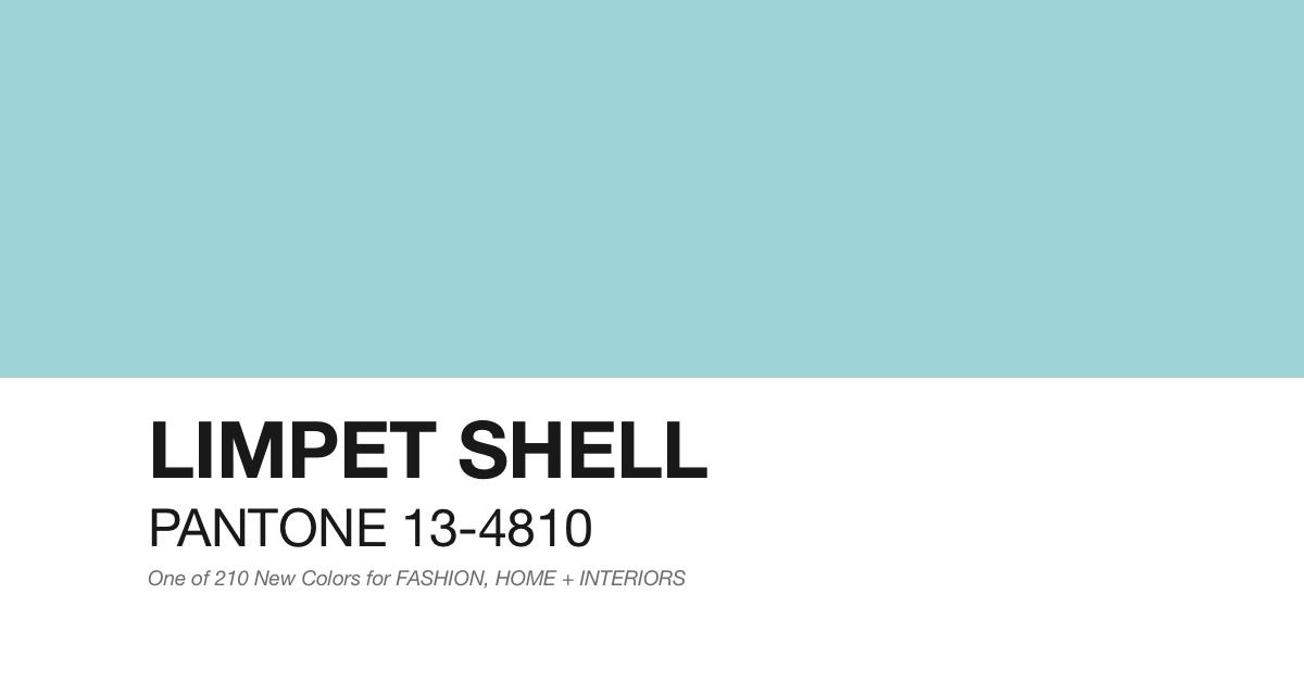 limpet shell