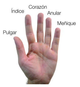 Significado de los Dedos de la Mano