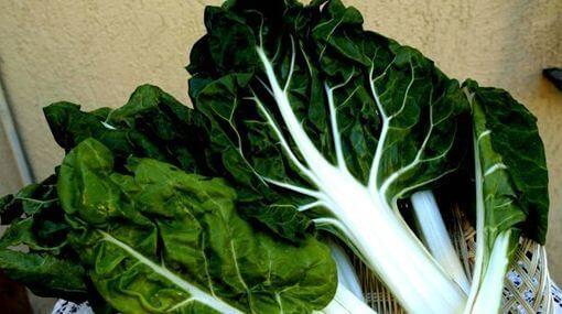 deficiencia de vitamina B