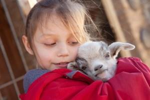 girl with baby goat