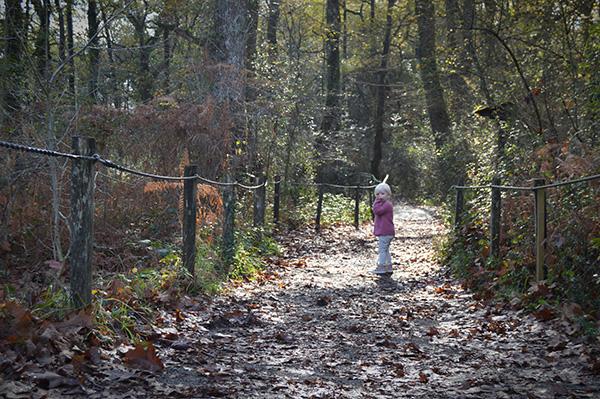 AllYourSites-bosque-de-orgi-3