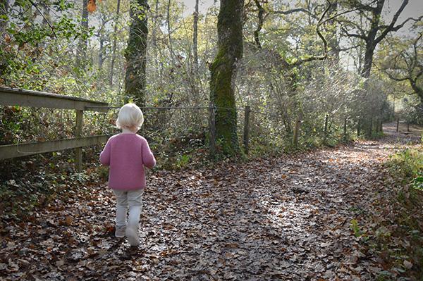 AllYourSites-bosque-de-orgi-5