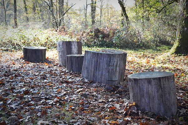 AllYourSites-bosque-de-orgi-8