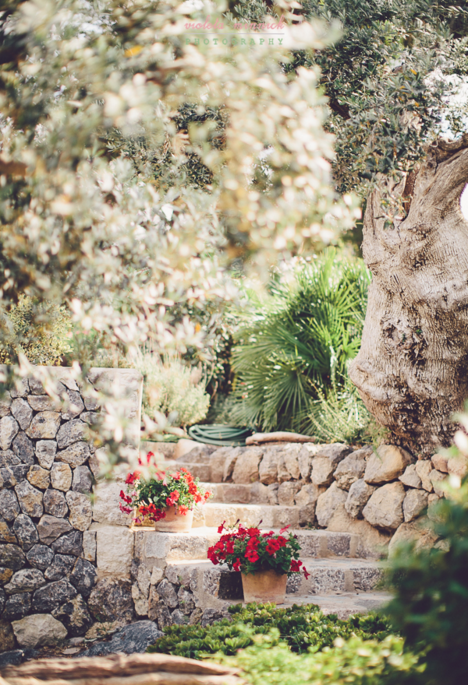 Captura de pantalla 2015-12-11 a las 12.21.53