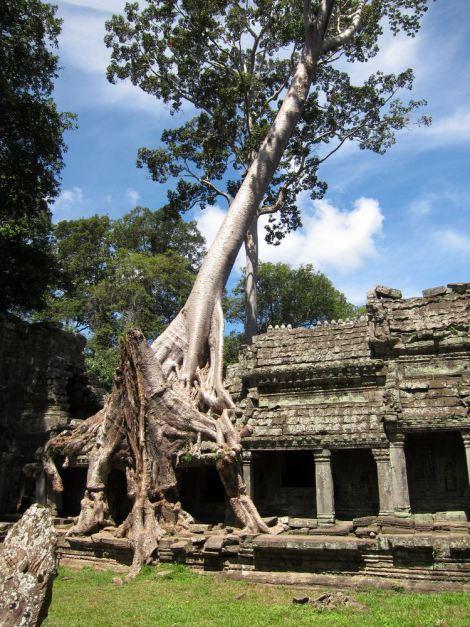 camboya-05-06-07-templos-de-angkor-10