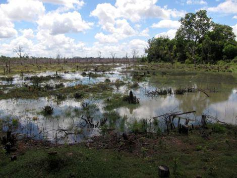 camboya-05-06-07-templos-de-angkor-13
