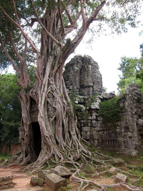 camboya-05-06-07-templos-de-angkor-17