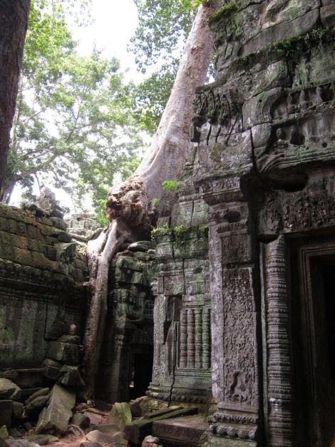 camboya-05-06-07-templos-de-angkor-68