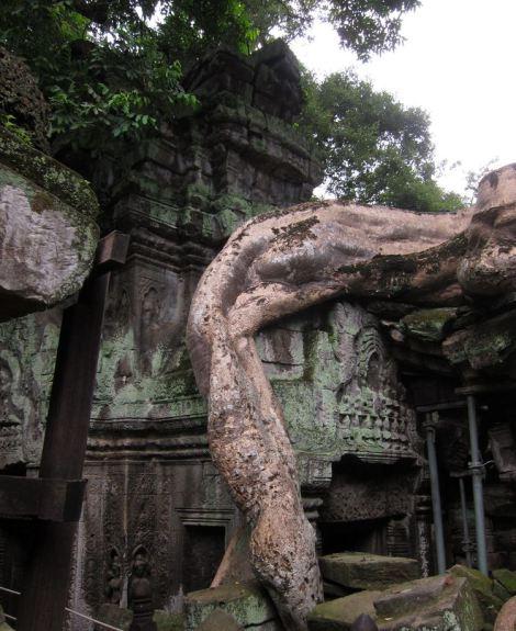 camboya-05-06-07-templos-de-angkor-73