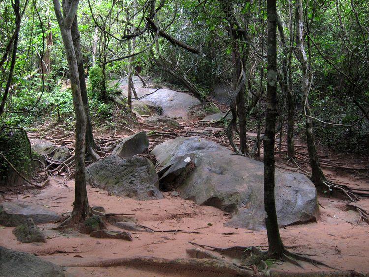camboya-05-06-07-templos-de-angkor-84