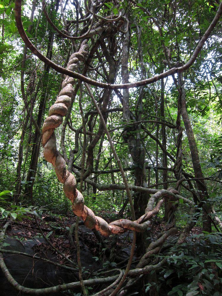camboya-05-06-07-templos-de-angkor-85