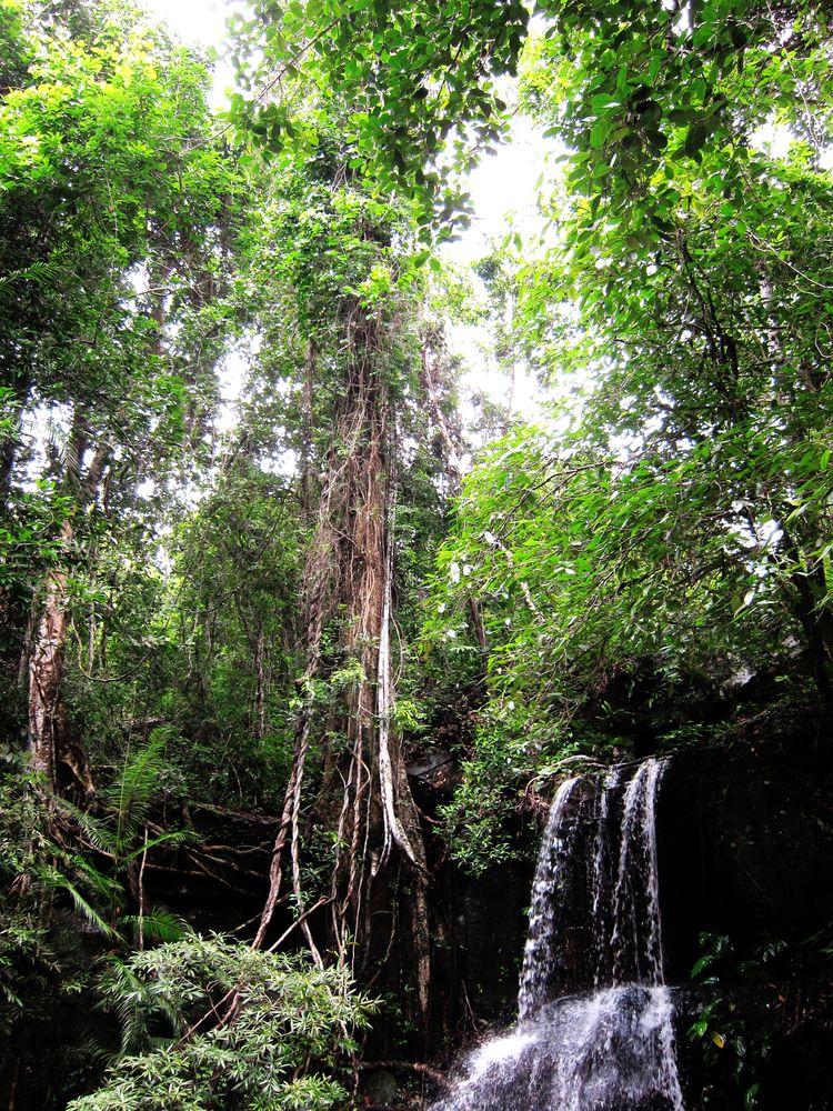 camboya-05-06-07-templos-de-angkor-86