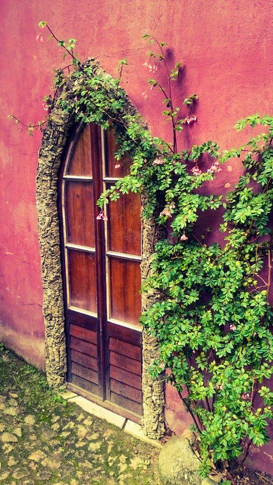 12347659_521863221315167_712018457534359009_n