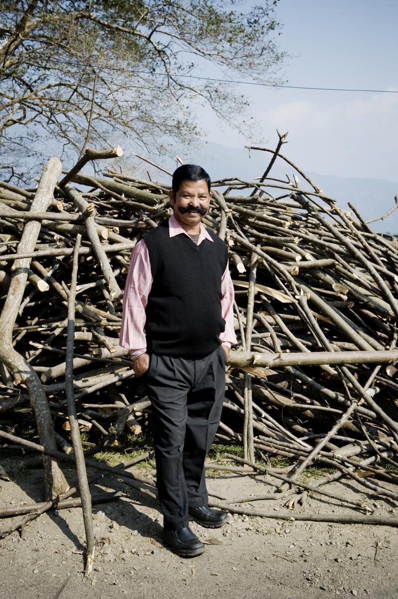 Darjeeling, té, plantación, Grenburn Tea Estate