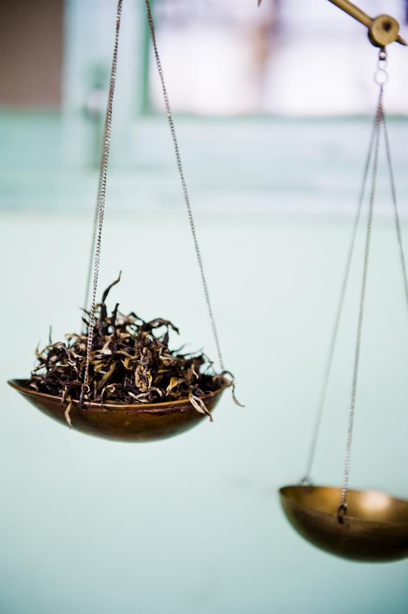 Darjeeling, té, plantación, Grenburn Tea Estate, cata de té