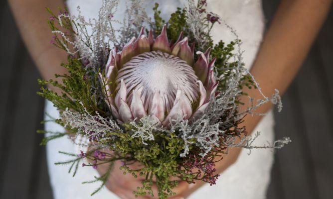 178892845-668x400x80xX.jpg (668×400)