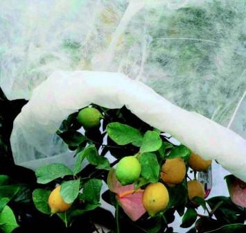 proteccion de cultivos